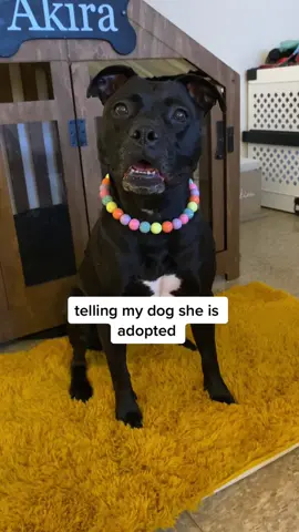 it’s April Fools so it felt fitting to share this again lol