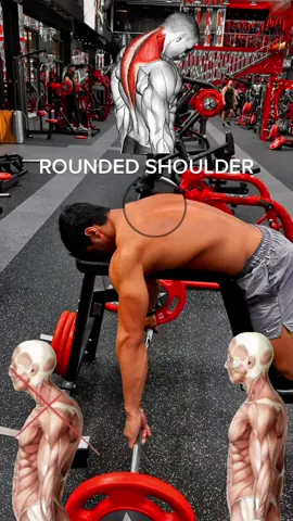 A simple and fast way to start to fix and unwind rounded shoulders. #dubai #uae #dxb #egypt #roundedshoulders #dubai🇦🇪 #dubailife #healthy #health #personaltrainer #dubaihealth #tiktok 