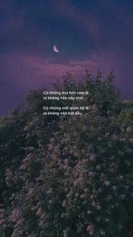 #tinhyeu #fyp 