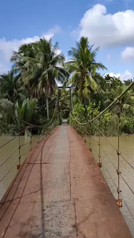Cầu dây nay đã thay đổi (ảnh cầu mới cuối video) 