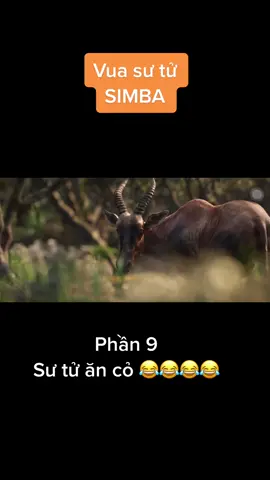 #nghienduthu #xuhuong #phimhay #xuhuongtiktok 