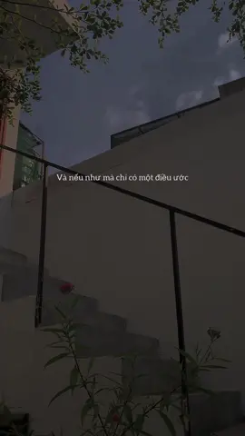 Tuổi trẻ của mình, mình đã đối xử vs nó tệ quá #sad #confide_one #vieconfedi #lunyentertainment #tiktokgiaitri #BookTok #helloangiang 