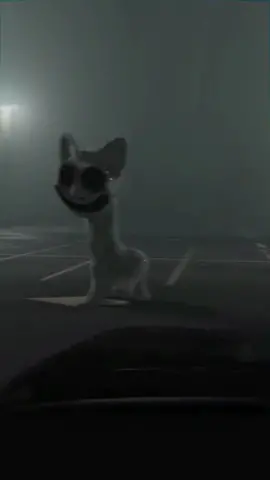 Spooky Cat . 🙀  #hauntedroad #spookycat #scary #horror #hauntedplaces #foryoupage #foryou #halloweenparty #horrorcomedy #horrorcartoon 