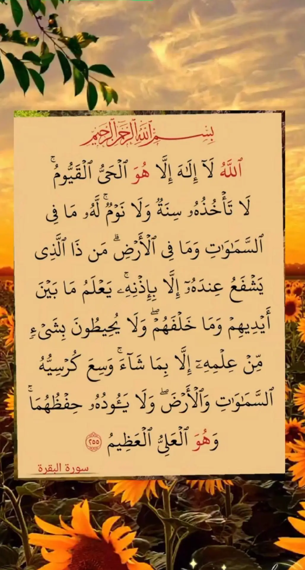 Ayatul kursi Tilawat 📖👉☝️🌺🥀🌹🕋🕌❤️❤️❤️ #quran #quranrecitation #foryou #foryourpage #fyp #ayatul_kursi #Nur_Hossain_5436🌹 #i_love_makkah_🕋 #muhammad #surah #tilawat #quran_alkarim #allah❤️🕋☝️ 