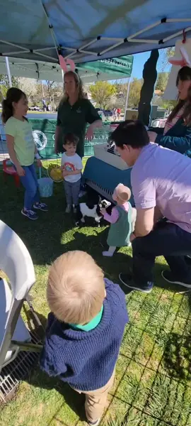 Calabasas Easter Egg Hunt. Petting zoo mishaps. #13months #goatkick #babygoatkicksbabyhuman #Calabasas #AnnikaOConnor #LincolnOconnor