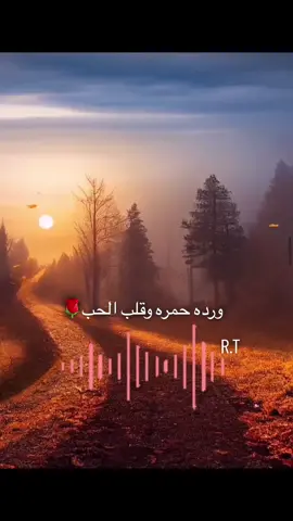 ♥️✨#حبنا_يبقى_وللابد #ناري_ناري_حبك_ابد_ماطفه #fyp #viral #foryoupageofficial#foryoupage #✨🦋 