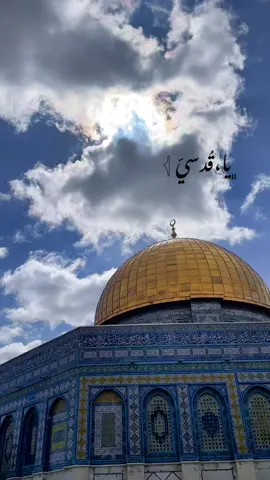 #دمت_يا_اقصى_لنا🇵🇸 #يا_قدسي_يا_نفائح_نفسي🇵🇸✌️ #القدس #الخليل_فلسطين #رمضان_كريم 