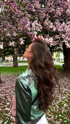 Spring 🌸