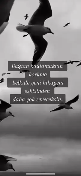 Bazen sil baştan başlamak gerek hayatı... #orhanölmez #banabırak #slowmüzikler #güzelsözler #geceyebirsözbırak #eskişehir 