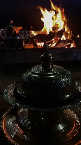 #محمد_المقحم #تصويري📸 #fypシ゚viral #fypシ #الكرم#حايلندا #الشعب_الصيني_ماله_حل 