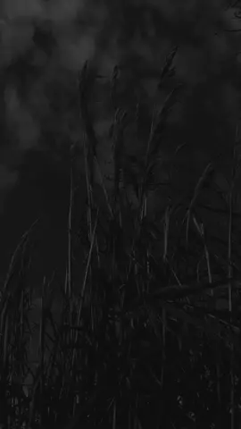 - berilah aku sesuatu yang berguna untuk “agamaku” #fypシ #hendivv🌜 #bismillahfyp #selfreminder #reminder #foryou #qoutes #masukberanda #hijrahyuk #fyp #madura #unity_🖤🎧 