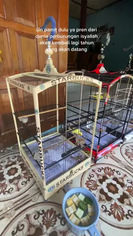 😇#berkahlembuboyolali #kenariindonesia #kenari #kenariboyolali #kenarigacor #kenarijuara #kenarimania #kenarimewah #kenariprospeklomba #kenariprospek 