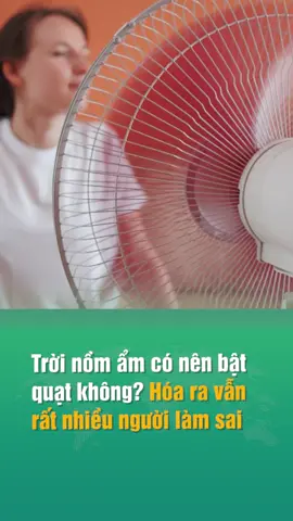Trời nồm ẩm có nên bật quạt không? Hóa ra vẫn rất nhiều người làm sai. #soha #sohahome #amm #LearnOnTikTok #hoccungtiktok