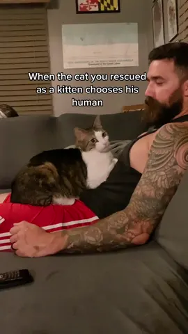 Cat mom? You mean professional third wheel?? #catsoftiktok #catdaddy #catlover #foryou 
