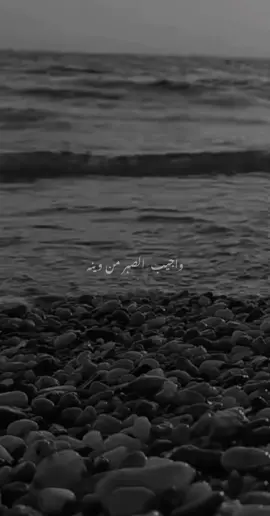 أريد الحق ذا الحينه.. #ايمن_قصيله #قالت_حبيبي 