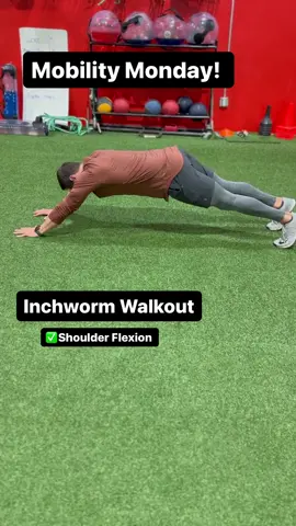 Mobility Monday!  - The inchworm is a classics dynamic warm up exercise. We tend to teach the hand walkout variation for the reasons mentioned in the video.  - We may even use this as a superset for active rest during the session for athletes who really need that serratus activity (upward rotation and protraction of the scaps). Doing multiple sets can really help guys create the stability/access to ROM they need.  - #mobility #mobilitymonday #inchworm #sportsperformancetraining #strengthandconditioning #sportsperformance #baseball #baseballtraining #softball #softballtraining #gym #Fitness #foryou #fyp #armcare #coreworkout 