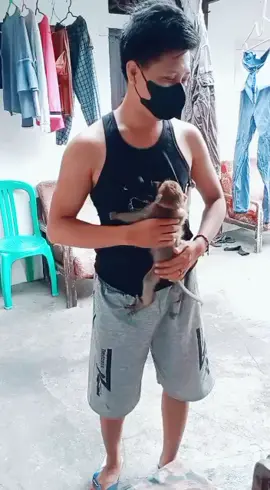 Bagaimana Kabar mu Kiko Ku syang  😢 Semoga kau di sana baik baik. Saja