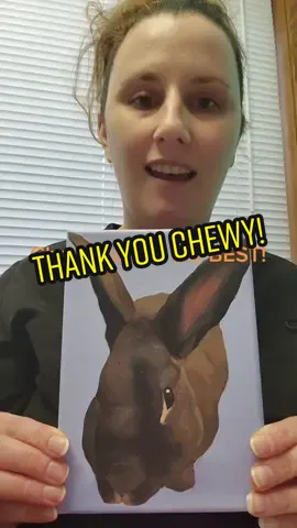 #Thankyou #blessed @chewy #bestpetsupplies #chewyisthebest #thankyouchewy #rabbit #nationalcarrotday #chewyfamily 