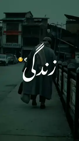 Zindagi ki haqiqat ko bas itna hi jana 🙂❤️🕊️ #zindagi #sad #poetry #urdu #shayari #shayri #realityoflife #status #hamzawritez #heart_broken_whatsapp_status #mehnat 