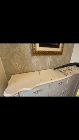 Should be prepared for anyone wants to live here #housecleaning #CleanTok #cleaninghacks #foryou #cleaningtiktok #springcleaning #cleanindia 