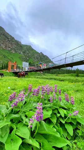 Coordinates: Ili, Xinjiang #scenery #cure #spring #fyp #beauty #beautiful #nature #foryou #f 