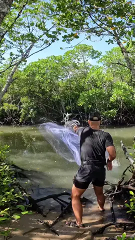 12 Hour River Mouth Fishing Challenge - How Many Species Can I Catch? ##mangroves##mangrovejack
