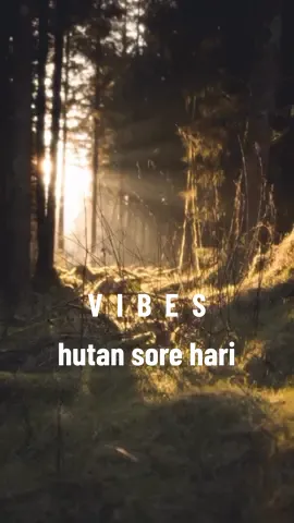 Rasanya Seperti Apa Yah..??😌 #vibes #nature #keindahanalam #pemandangan #aesteticvideo #emosional #suasanahutan 