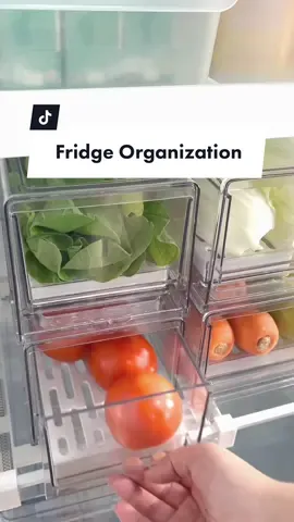 No more rotten vegetables! 🤢#fridgeorganization #fridgestorage #tiktokshop #styledegree 