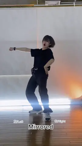 【反転/Mirrored】#Roverchallenge #KAI #KAI #EXO #Rover #KAI_Rover 