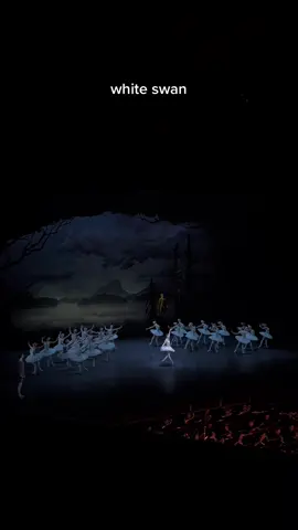 realest version of the trend u will see #ballet #dutchnationalballet #whiteswan #blackswan #ballerina #yallsfaveballerina #balletcore #balletaesthetic 
