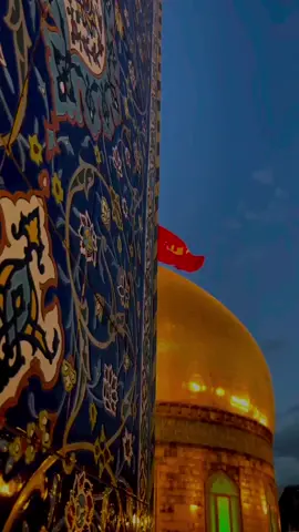 تحير الجمل بجماله🖤 #يا_حسين 