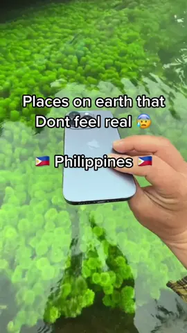 Who are you bringing with you? 🤩✨ #adventure #travel #nature #explore #philippines #philippines🇵🇭 #🇵🇭 #🇺🇸 #🇨🇦 