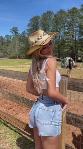 Horses are just big puppies 