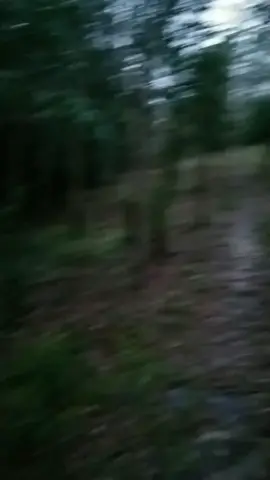 hati hati yang melintas daerah muara inem air itam ... semalem sayah ga sadar tiba tiba sayah ad di di tengah hutan padahal Lampu mobil terang tapi penglihatan saya berasa gelap 😱😰😨 #anehtapinyata🤔🤔🤐  #masigapercaya?? 