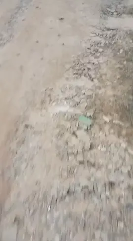 OI CACHORRO 😃😃😃#cartasdeamor💔 #presentesfeitosamao #oicachorro #cachorrocadeirante 