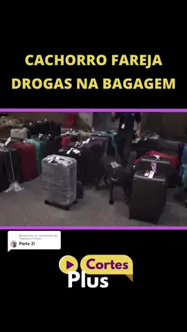 Respondendo a @Thaynara Trinxet Parte 2 #aeroportoarearestrita #casimiro #police #aviao 