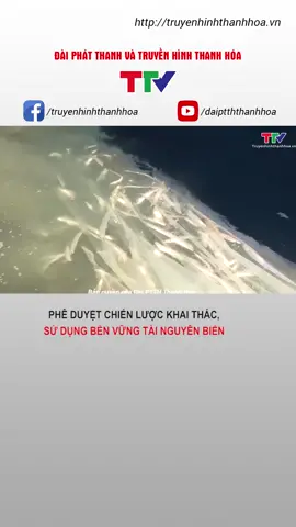 Phê duyệt chiến lược khai thác, sử dụng bền vững tài nguyên biển #tainguyenbien #khaithac #haisan #thanhhoa #truyenhinhthanhhoa