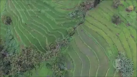 A Brief Introduction to Igorot Culture #cttovideonotmine #igorot