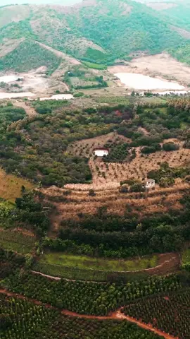 TÂY NGUYÊN ĐẠI NGÀN NHÌN TỪ TRÊN CAO #Taynguyen #flycamvietnam #traveltiktok
