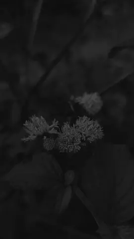 Selain maghrib apa yang kau tunggu? #fypシ #hendivv🌜 #bismillahfyp #masukberanda #foryou #fyp #unity_🖤🎧 #madura #qoutes #storyhijrah 