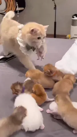 🥰