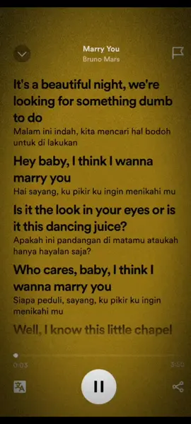 #marryyou #brunomars #lirikspotify #SerunyaGayaBareng 