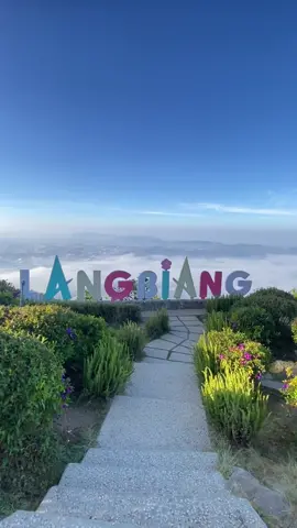 Lên nóc nhà Đà Lạt ngắm thành phố chìm trong sương 💚 #dalat #dalattourist #chill #langbiang #sanmay 