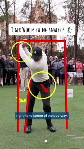 Just gotta do all of this and then you’ll swing like Tiger Woods 📝 #golf #PGATOUR #TheMasters 