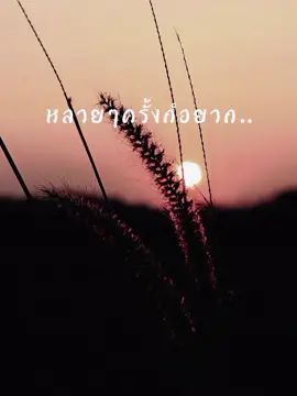 #CapCut พอแล้วกับการที่คอยวิ่งตามอยู่ฝ่ายเดียว🥺#เธรดเศร้า #ความรักที่ไม่สมหวัง #fyp 🥀