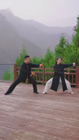 #kungfu #taichi #fyp 