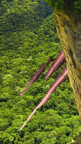 The Three Whales Stone in the old-growth forest of Thailand looks like three great whales swimming in the forest. The rocks formed 75 million years ago, They’re called Three Giant Whales in the forest. Do you think these giant whale rocks of different sizes are whale fossils🌲🦈 #scenery #travel #Thailand #forest #three whale rocks #visual shock #fyp #fy