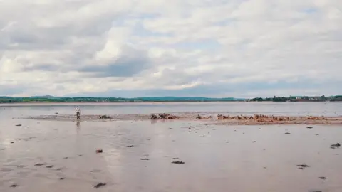 Royal Marines Mud Run click on the link in our profile #royalmarinestraining #army #royalnavy #fyp #marines #royalmarines #royalmarinescommando #Running #crossfit #viral 