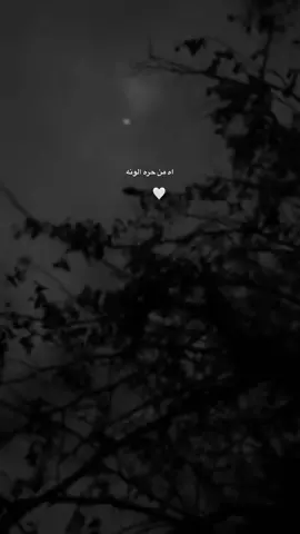 #اكسبلور 