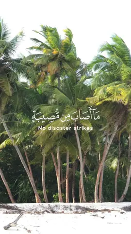 سورة التغابن - الآية 11 / القارئ رعد الكردي #القرآن_الكريم #القران_الكريم #quraan #quraan_alkareem 